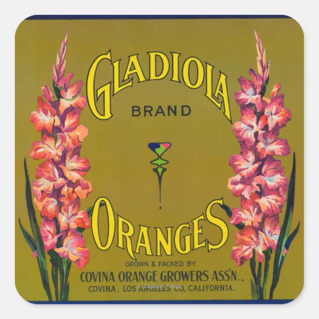 Gladiola Marque Citrus Étiquette (Devant)