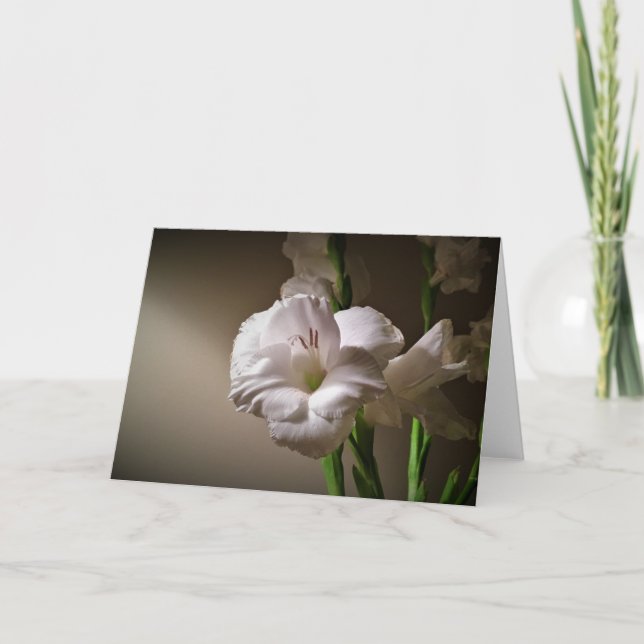 Gladioli, carte (Devant)