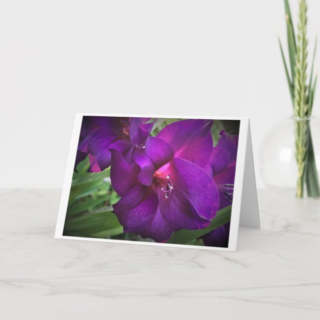 Gladioli, carte (Devant)