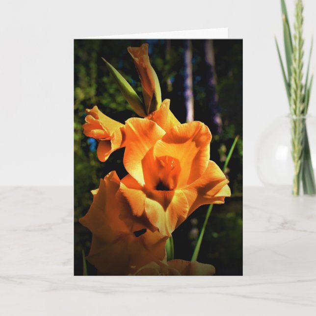 Gladioli, carte (Devant)