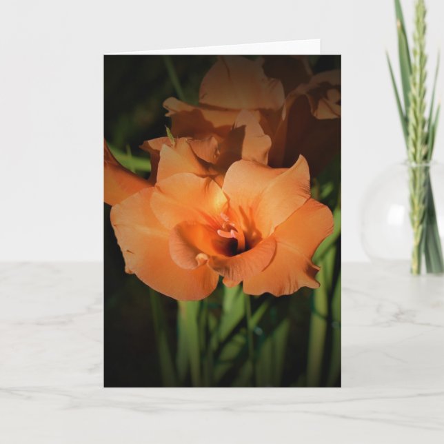 Gladioli, carte (Devant)