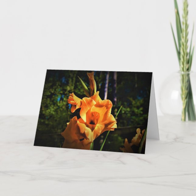 Gladioli, carte (Devant)