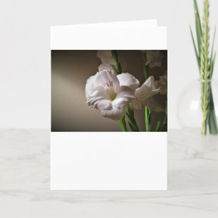 Gladioli, carte