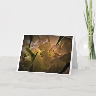 Gladioli, carte
