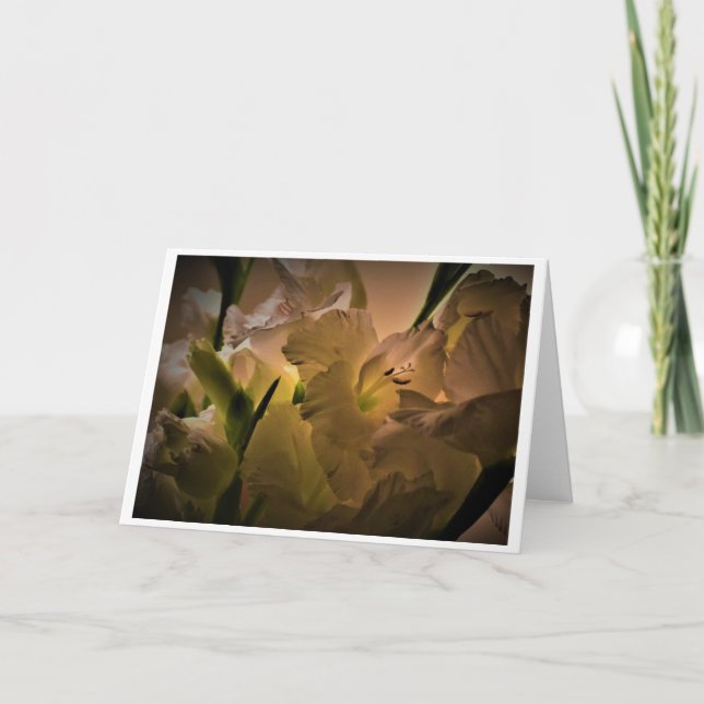 Gladioli, carte (Devant)