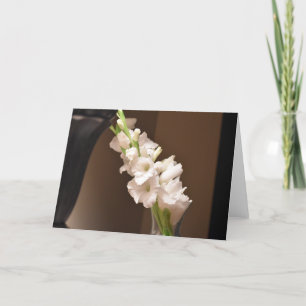 Gladioli, carte
