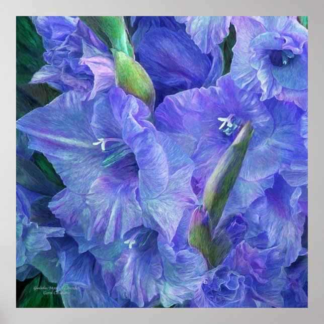Gladiolus Moods - Poster d'art Lavender/Imprimer (Devant)
