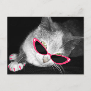 Glamor Chat Anniversaire Carte postale Invitation