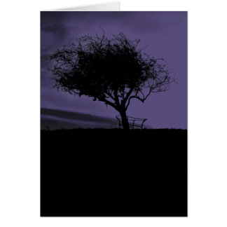Glastonbury Hawthorn. Arbre sur Hill. Noir pourpre
