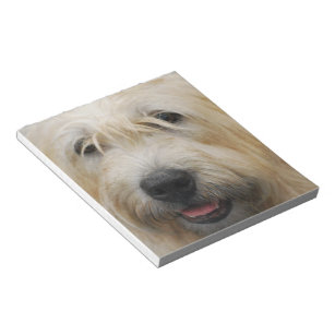 Glen du Bloc-notes Imaal Terrier