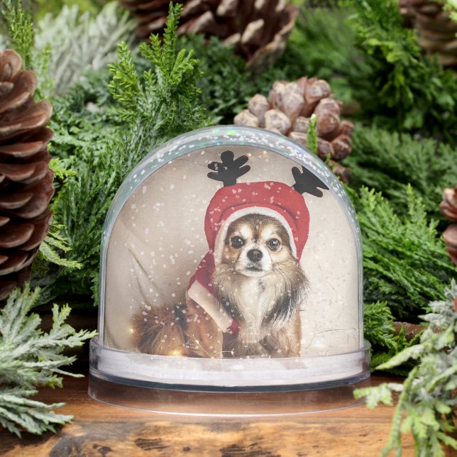 Globe des neiges des chiens de Noël (Hiver)