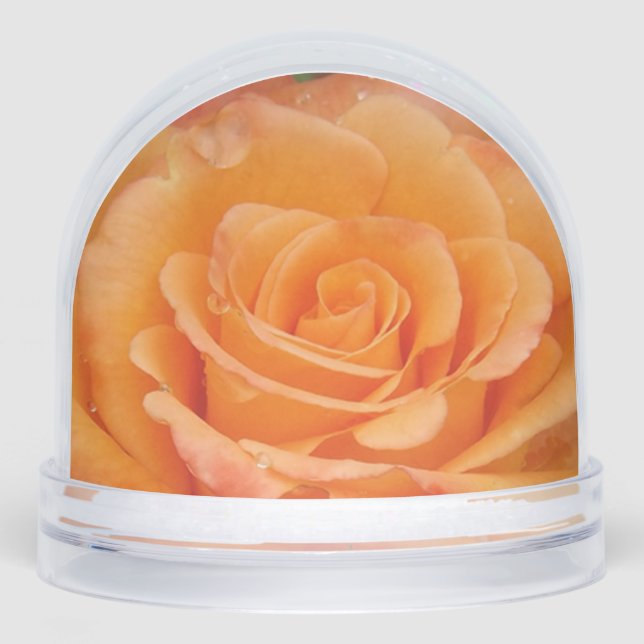 Globe des neiges Roses orange (Avant)