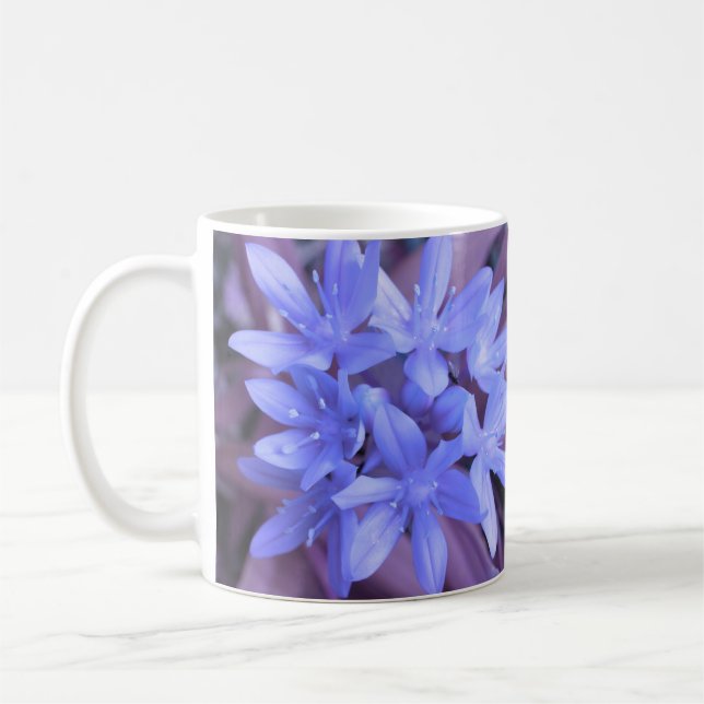 Gloire Bleue De La Mug De Neige (Gauche)