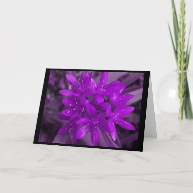 Gloire De La Carte De Voeux Violet Neige (Devant)