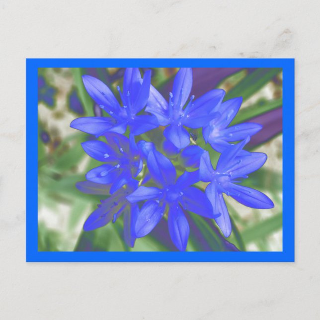 Gloire De La Carte Postale Bleue Fluorescente De N (Devant)