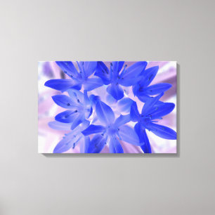 Gloire de la Neige Toile de Choc Bleu Impression s