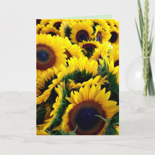 Gloire de Tournesol 1 carte