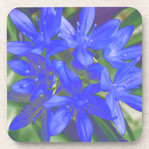 Gloire du Dessous de verre de liège bleu fluoresce
