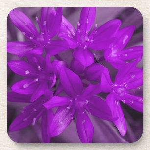 Gloire du Dessous de verre de liège mauve-neige
