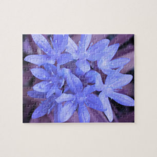 Gloire du Puzzle bleu neige
