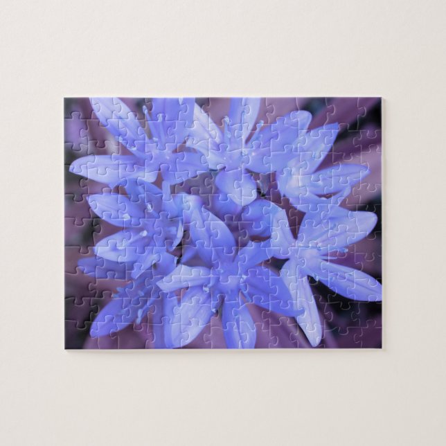 Gloire du Puzzle bleu neige (Horizontal)