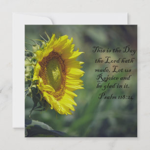 Gloire du Tournesol