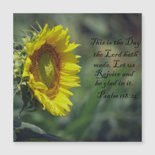 Gloire du Tournesol