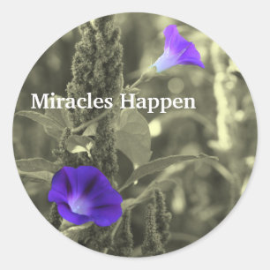 Glories du matin Miracles Happen Sticker
