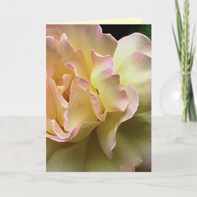 Glorieuse carte de Pâques Rose Jaune (Devant)