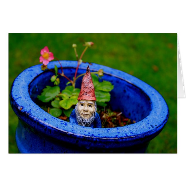 Gnome curieux (Devant horizontal)