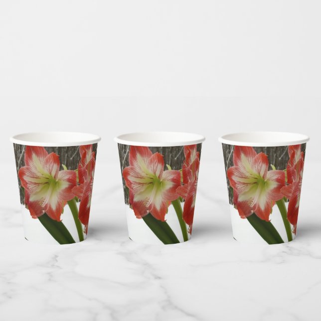 Gobelets En Papier Amaryllis en Fête Rouge Neige Hiver Floral (Multi)