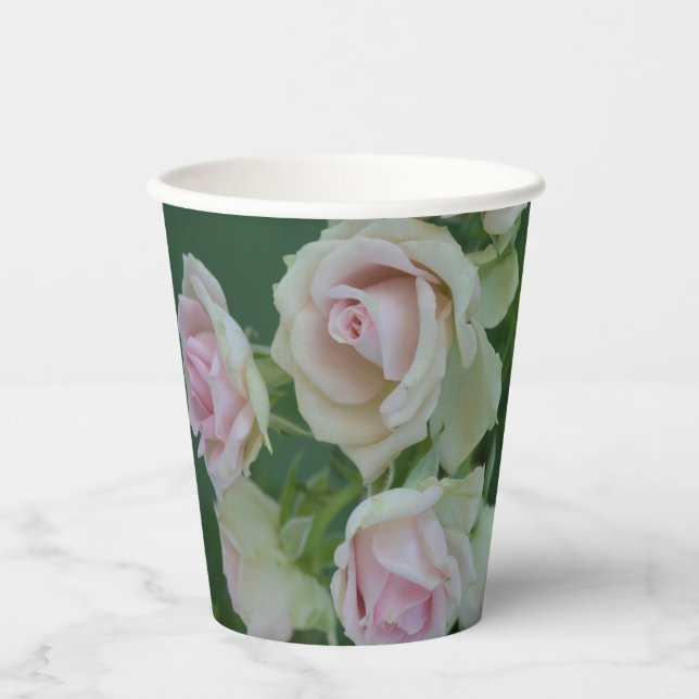 Gobelets En Papier Beau jardin rose clair roses (Recto)