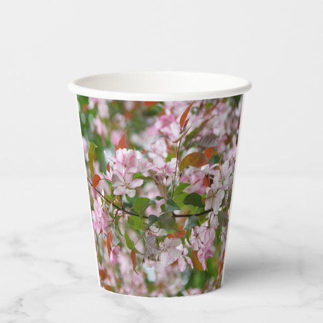 Gobelets En Papier Branche délicate avec fleurs pommier (Recto)