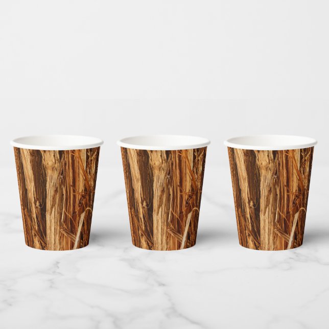 Gobelets En Papier Cèdre texturé en écorce de bois (Multi)
