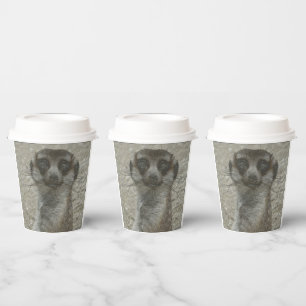 Gobelets En Papier Coupe Temp
