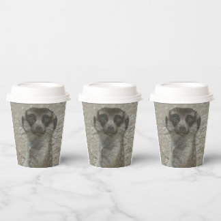 Gobelets En Papier Coupe Temp
