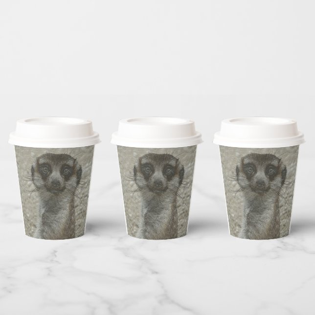 Gobelets En Papier Coupe Temp (Multi)