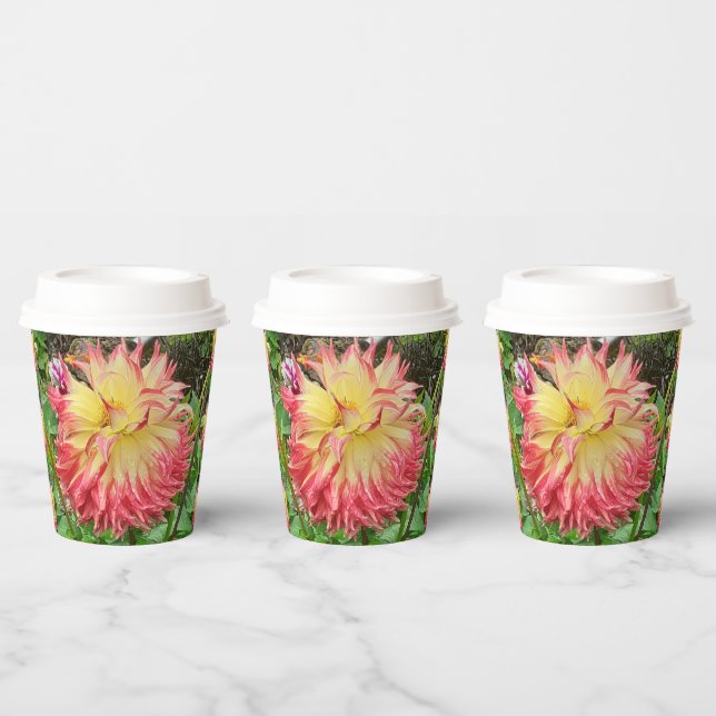 Gobelets En Papier Dahlia rose et jaune (Multi)