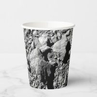 DART Dimorphos Asteroid Moonlet Surface