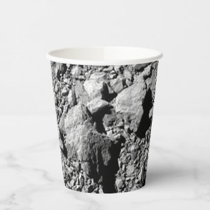 Gobelets En Papier DART Dimorphos Asteroid Moonlet Surface