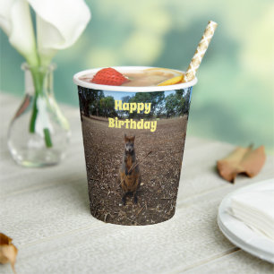 Gobelets En Papier "Fête de la nature : un casse-croûte de Wallaby"