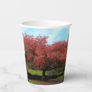 Gobelets En Papier Feuilles rouges