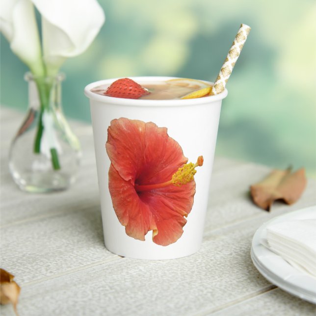 Gobelets En Papier Fleur d'Hibiscus Orange Florale Tropicale (Insitu)