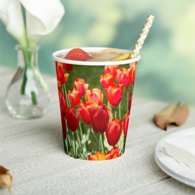 Gobelets En Papier Grand champ de tulipes rouges (Insitu)