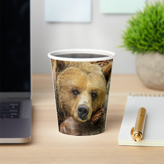 Gobelets En Papier Grizzly Bear (Insitu)