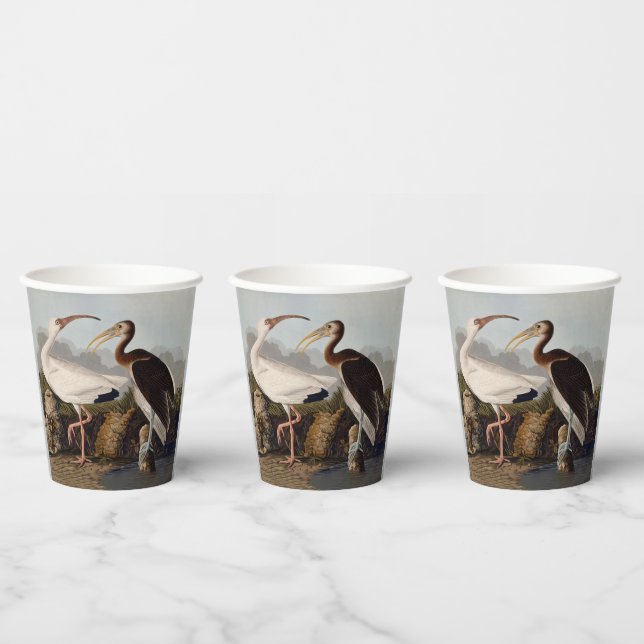 Gobelets En Papier Impression d'oiseau Ibis blanc de John James Audub (Multi)