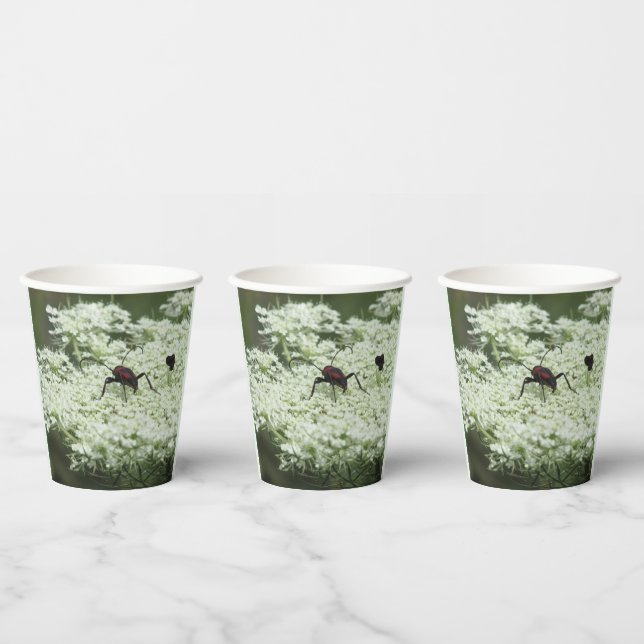 Gobelets En Papier Insecte sur fleurs d'Elderflower (Multi)