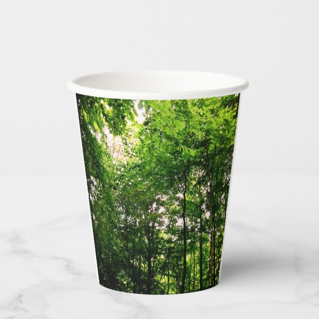 Gobelets En Papier Les arbres verts (Recto)