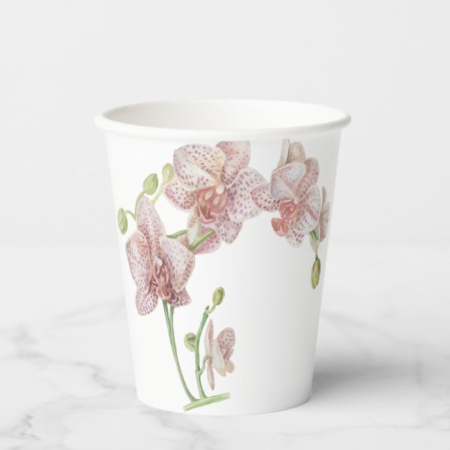 Gobelets En Papier Orchidée à main levée (Recto)