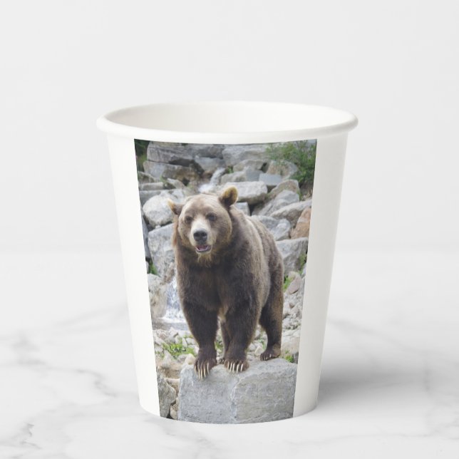 Gobelets En Papier Ours kodiak (Recto)